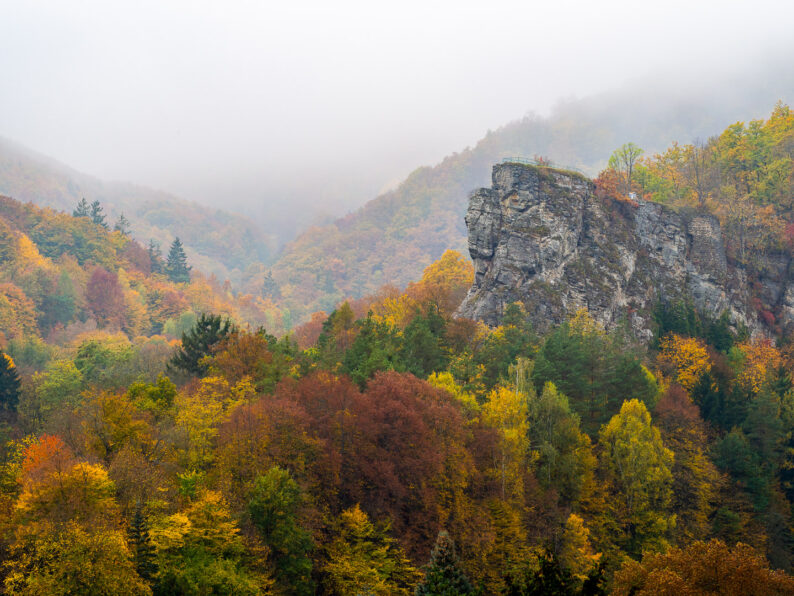 Podzimní les na rakouské straně Podyjí